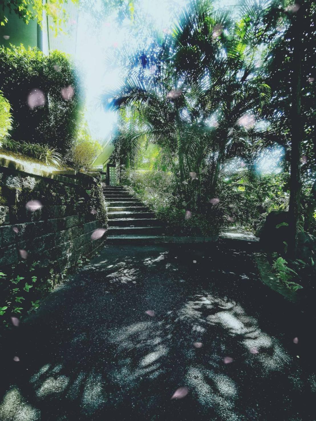 Bangnu Greenery Resort Takua Thung 외부 사진