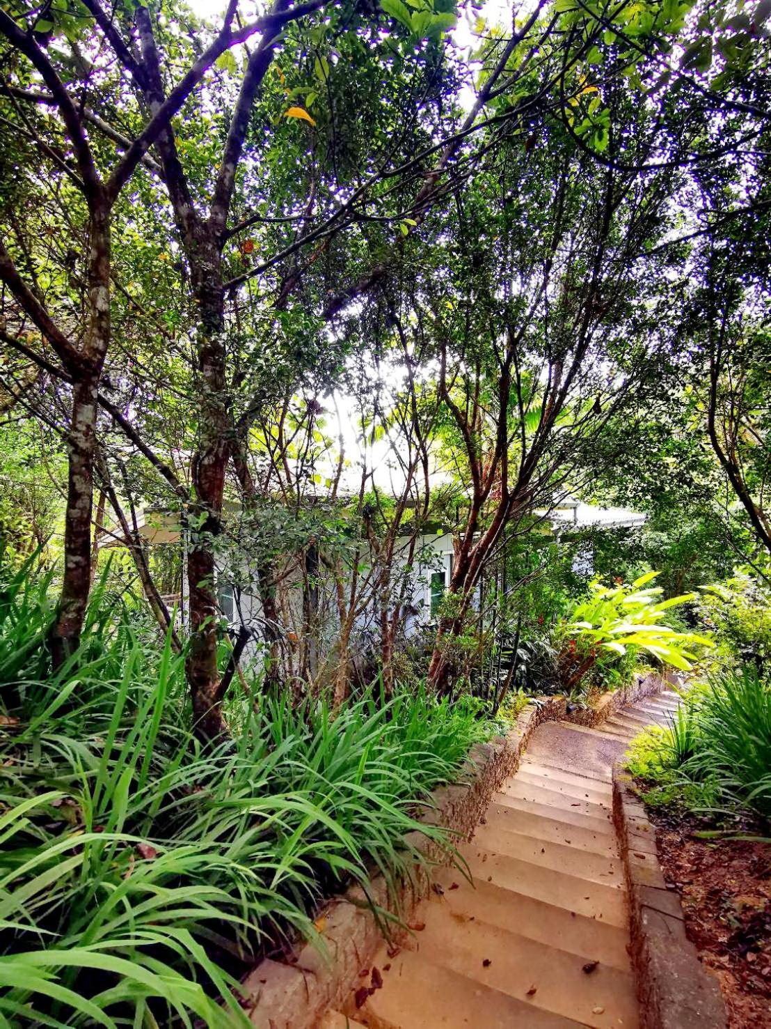 Bangnu Greenery Resort Takua Thung 외부 사진