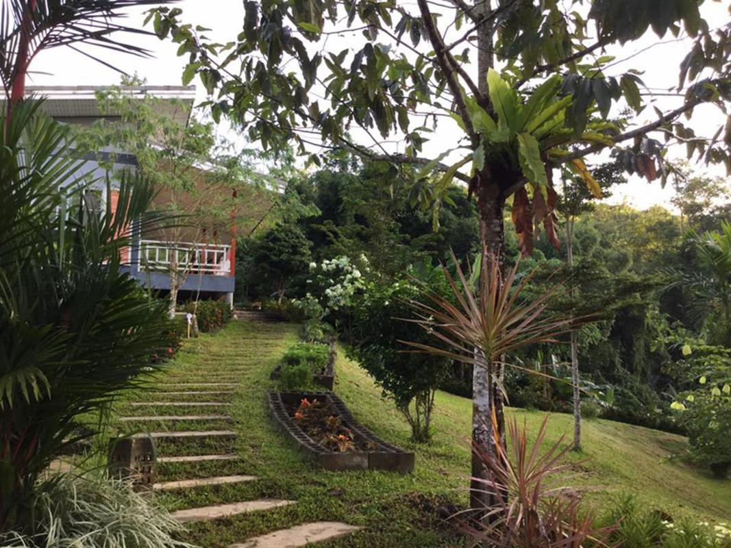 Bangnu Greenery Resort Takua Thung 외부 사진