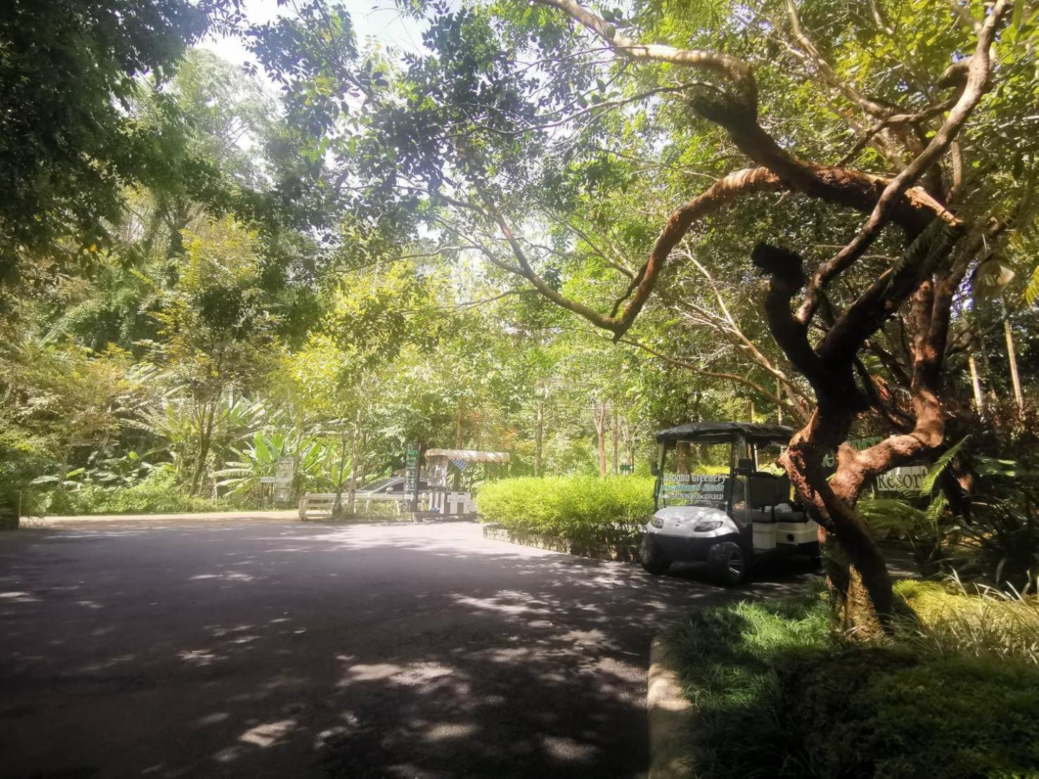 Bangnu Greenery Resort Takua Thung 외부 사진