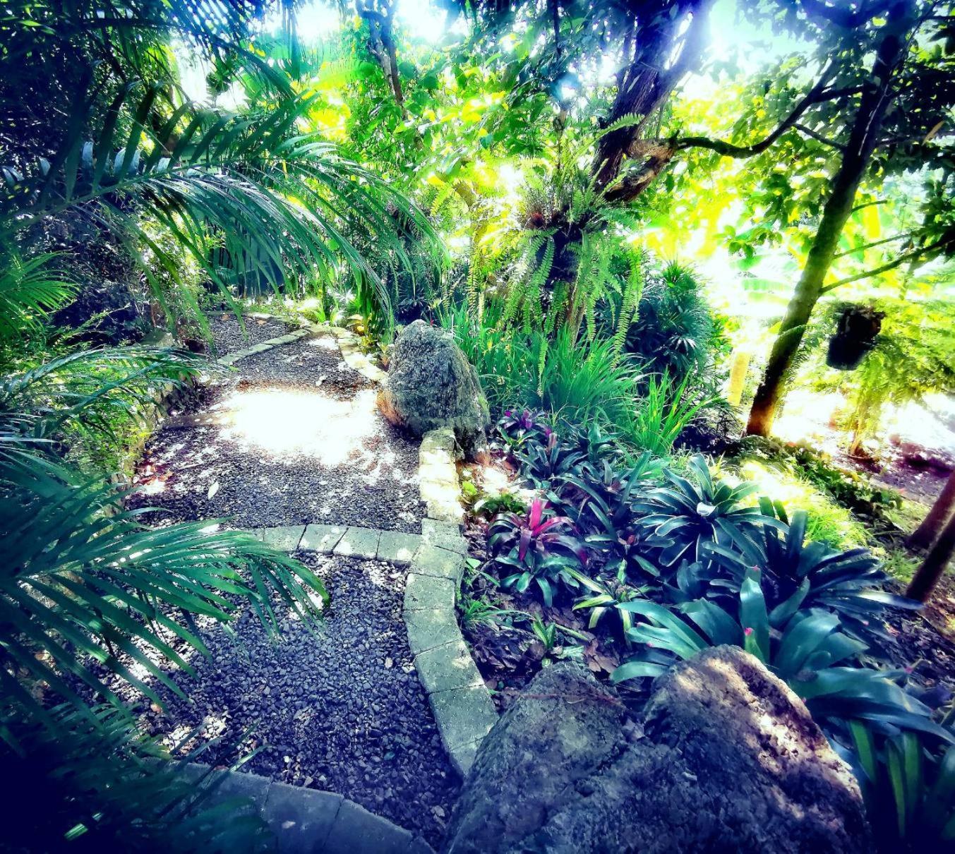 Bangnu Greenery Resort Takua Thung 외부 사진