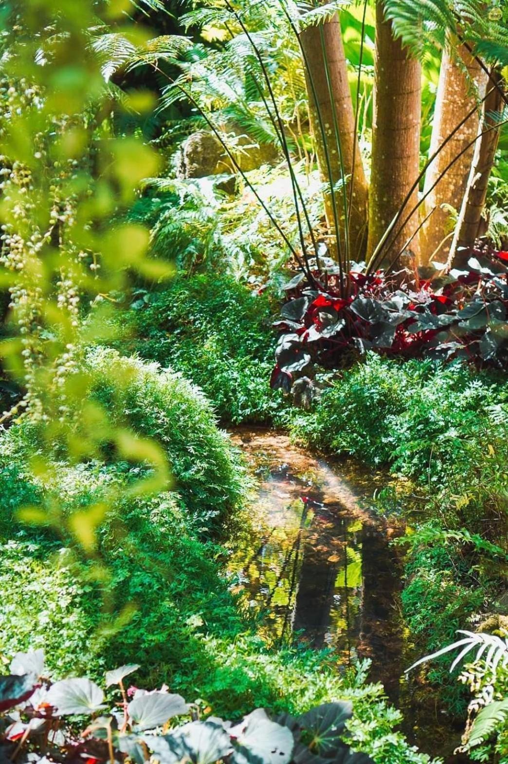 Bangnu Greenery Resort Takua Thung 외부 사진