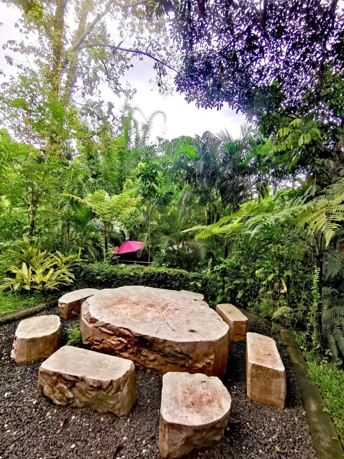 Bangnu Greenery Resort Takua Thung 외부 사진