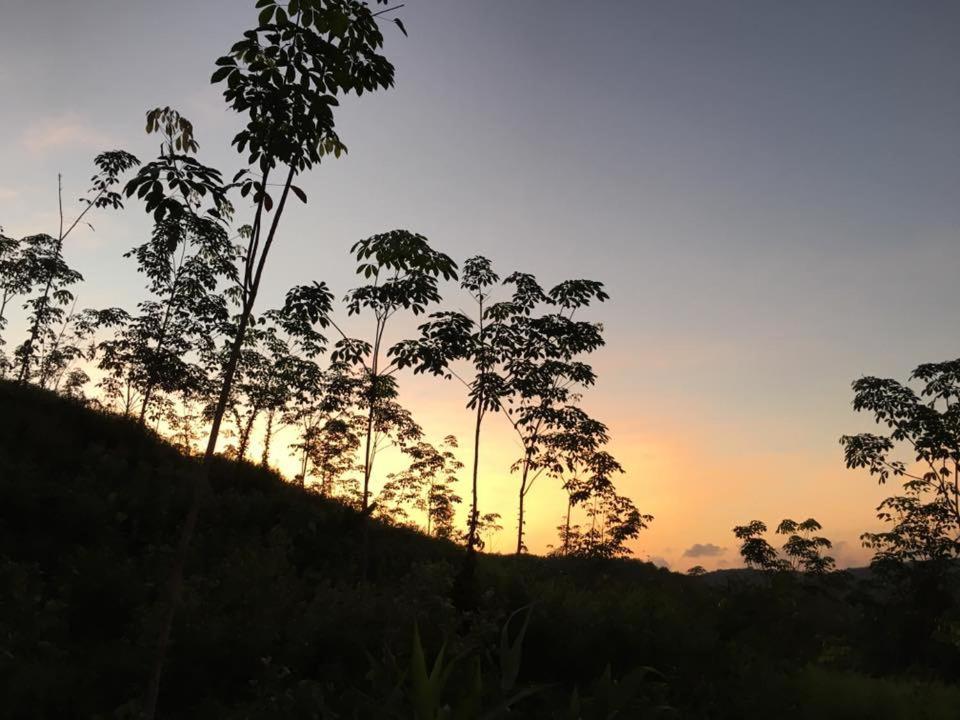 Bangnu Greenery Resort Takua Thung 외부 사진