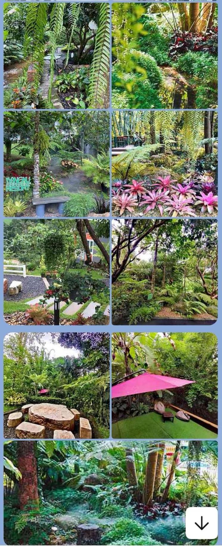 Bangnu Greenery Resort Takua Thung 외부 사진